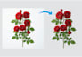 remove image background and deliver transparent png